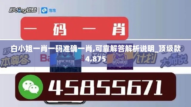 白小姐一肖一码准确一肖,可靠解答解析说明_顶级款4.875