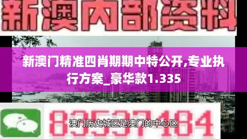 新澳门精准四肖期期中特公开,专业执行方案_豪华款1.335