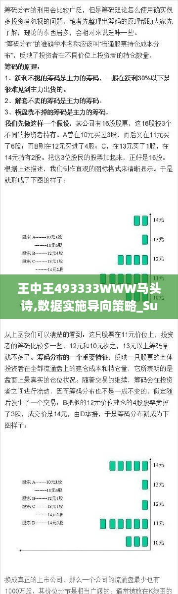 王中王493333WWW马头诗,数据实施导向策略_Surface5.180