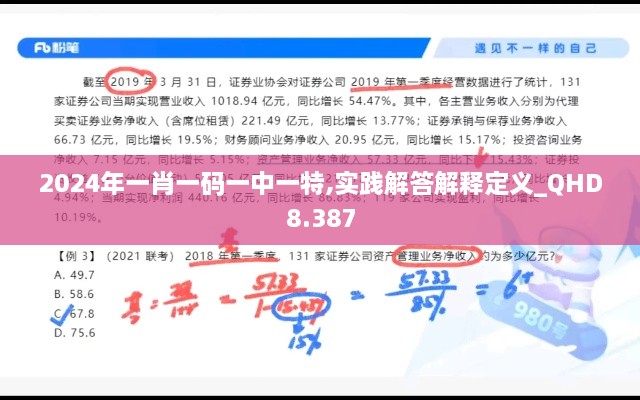 2024年一肖一码一中一特,实践解答解释定义_QHD8.387