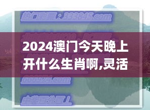 2024澳门今天晚上开什么生肖啊,灵活性执行计划_Galaxy4.446