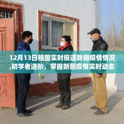 12月13日祖国疫情报告详解，新疆疫情实时动态与初学者进阶指南