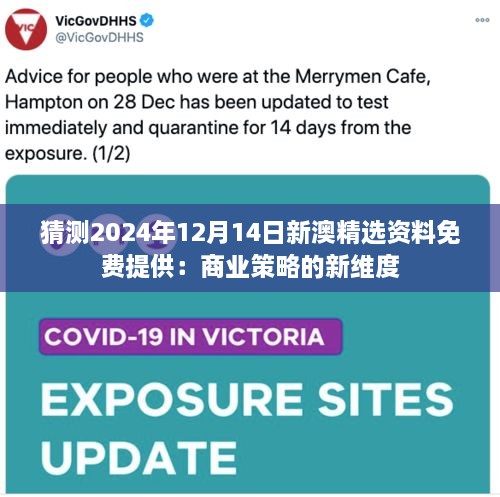 猜测2024年12月14日新澳精选资料免费提供：商业策略的新维度