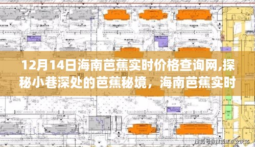 探秘海南芭蕉秘境，实时价格查询网揭秘芭蕉小巷深处的秘密
