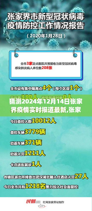 张家界疫情下的温情日常与友情陪伴，2024年最新实时报道预测