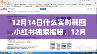 小红书独家揭秘，12月14日实时截图大揭秘！