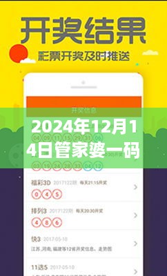 2024年12月14日管家婆一码一肖100准：一码一肖的现代诠释