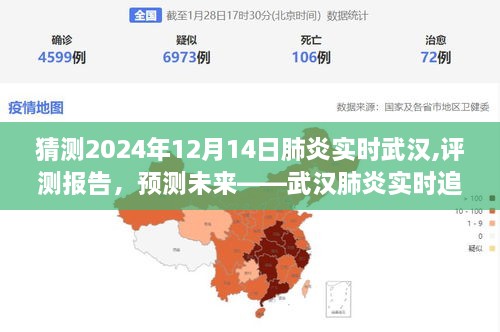 深度体验与解析，武汉肺炎实时追踪系统在2024年12月14日的评测报告及未来预测
