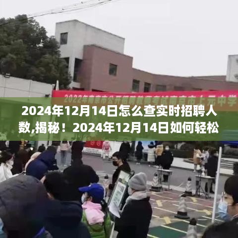 揭秘！轻松掌握实时招聘人数的方法，求职不再迷茫（2024年12月14日版）