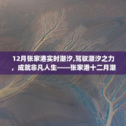 驾驭潮汐之力，成就非凡人生，张家港十二月实时潮汐探秘