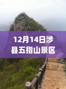 muqianniaoxi 第6页