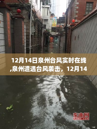 泉州台风袭击实时更新，台风动态、应对指南与12月14日最新消息