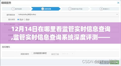 12月14日监管实时信息查询平台深度评测，最佳查询平台推荐及查询地点指南