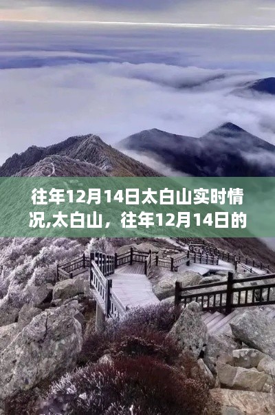 太白山往年12月14日壮丽景色实时记录，冬日的壮丽画卷展现独特魅力