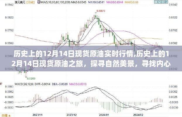 探寻自然美景与内心平静，历史上的现货原油行情之旅——12月14日的回顾与体验