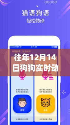 往年12月14日狗狗实时动态软件下载，追踪爱犬生活轨迹的必备工具