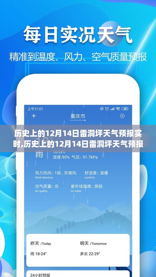 多维度视角解读，历史上的12月14日雷洞坪天气预报实时分析