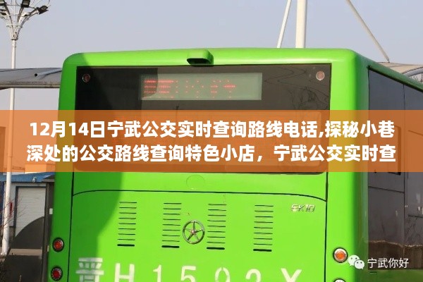 探秘宁武公交，实时查询路线电话与小巷深处的公交特色小店故事