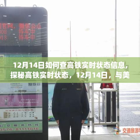 探秘高铁实时状态信息，如何查询高铁实时动态，与美景不期而遇（12月14日指南）