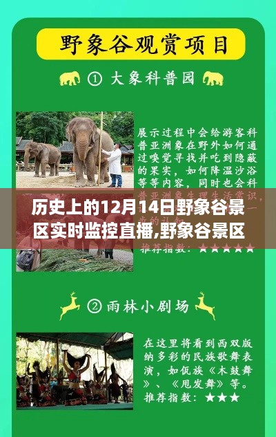 初告白 第5页