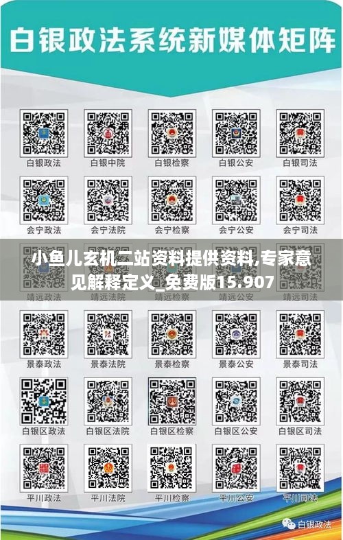 小鱼儿玄机二站资料提供资料,专家意见解释定义_免费版15.907