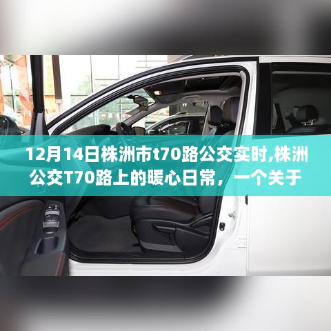 株洲T70路公交车上的暖心日常，友情、陪伴与爱的故事（12月14日实时更新）