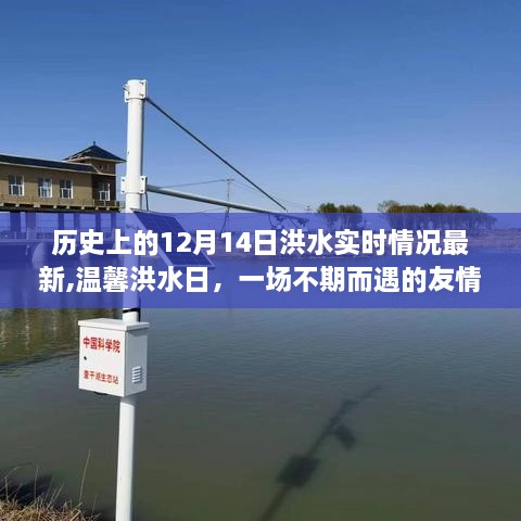 yitaiwanfang 第4页