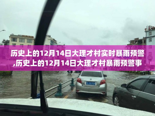 历史上的12月14日大理才村暴雨预警事件深度分析与观点阐述