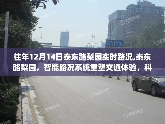 科技前沿引领未来出行，泰东路梨园智能路况系统重塑交通体验实时播报（往年12月14日）