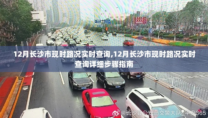 长沙市实时路况查询指南，最新路况信息及查询步骤
