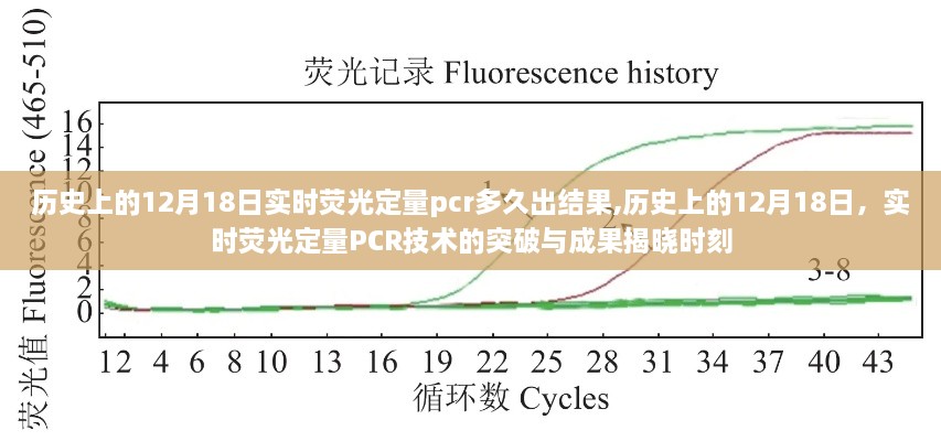 历史上的12月18日，实时荧光定量PCR技术突破与成果揭晓时刻及检测出结果的时间揭秘
