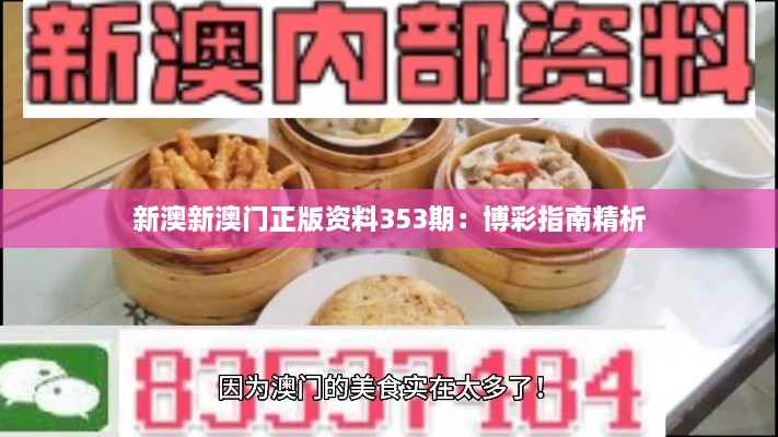 新澳新澳门正版资料353期：博彩指南精析
