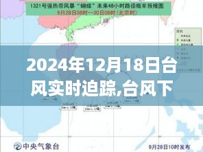 台风下的温馨日常，一场突如其来的风暴与我们的故事（实时追踪）