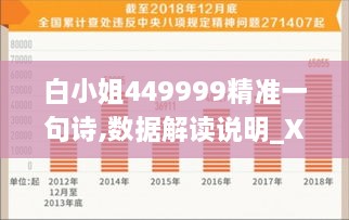 白小姐449999精准一句诗,数据解读说明_XR1.301