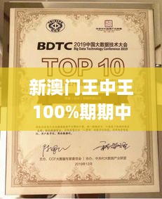 新澳门王中王100%期期中,系统解答解释落实_开发版3.453