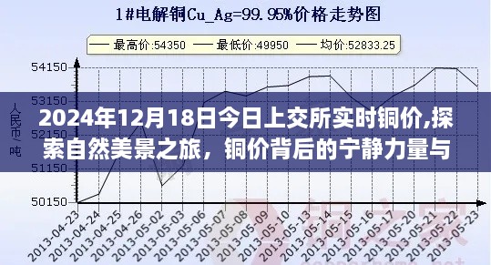 jianbanuzhang 第3页