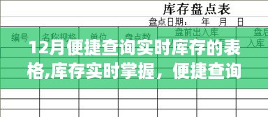 十二月库存查询表格，实时掌握助力高效管理，优势与争议解读