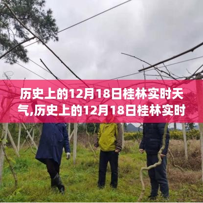 没精打采 第4页