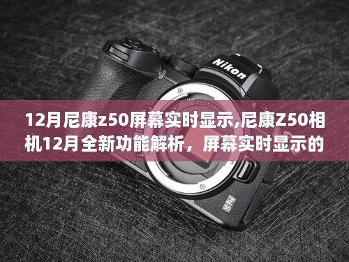 admin 第4页