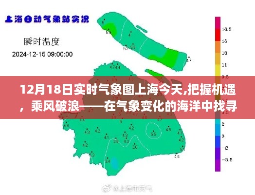 上海今日气象变化，乘风破浪，探寻学习力量与自信之光