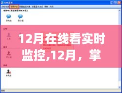 12月实时监控在线，掌握实时生活，体验在线监控的便捷与力量