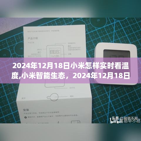 bizourufei 第4页