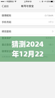 揭秘未来微博账号实时内容查看方式，初学者与进阶用户指南教你如何预测与查看2024年12月22日微博实时内容动态