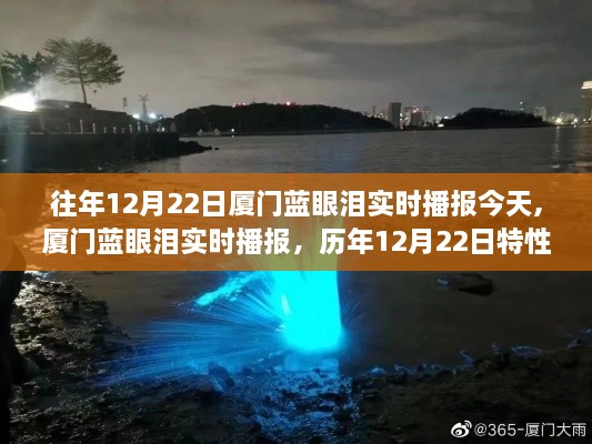 历年12月22日厦门蓝眼泪现象详解与实时播报，用户体验评测及特性揭秘