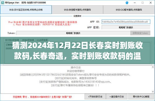 长春奇遇，实时到账收款码的温暖瞬间（猜测2024年12月22日长春收款码）