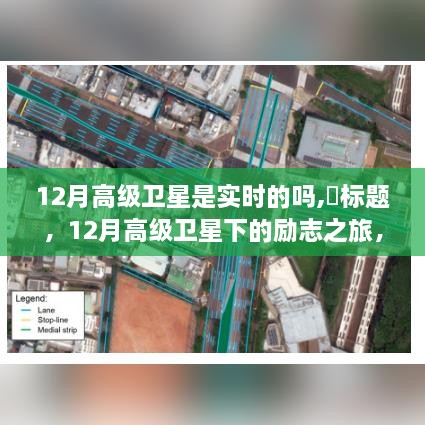 zizuozhuzhang 第3页