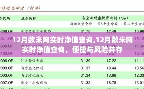 12月数米网实时净值查询，便捷查询与风险并存