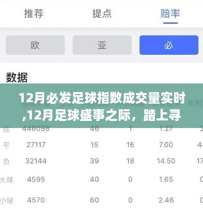 12月足球盛事，探寻内心平静的足球与自然美景之旅实时成交量指数揭秘