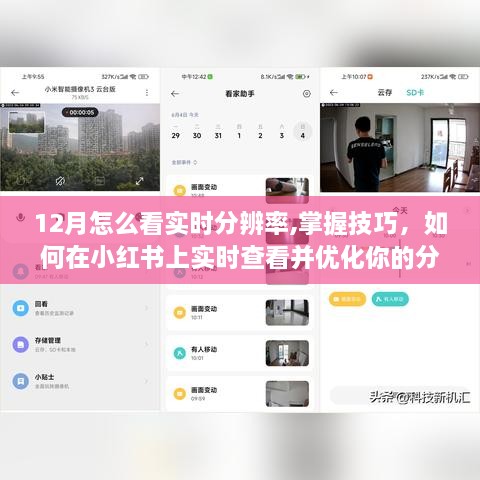 manbujingxin 第4页