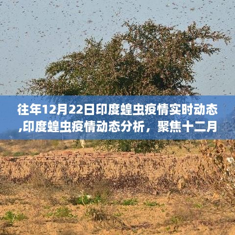 zhizhengzhaoxi 第3页